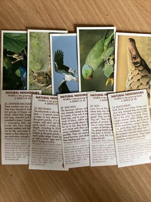 Natural Neighbours - Brooke Bond Cards 1992 - Pick Your Card