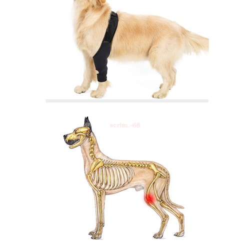Dog Elbow Protector Pads Dog Legs Protector Dog Knee Brace Protective Sleeve❤❤ - Picture 39 of 78