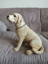 The Leonardo Collection  large golden retriever Dog With Collar 2000 