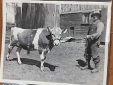Album photographies 1948 La vie à la ferme Galesville, WI 20 ~ photos BW, 8 x 10