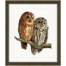 Vervaco counted cross stitch kit "Owls", 26x29cm, DIY