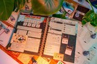Picture 4 of 6
