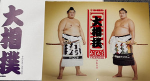 Japan Sumo | eBay