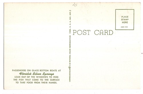 Passengers Fish Glass Bottom Boat UNCLE DAVE Florida Silver Springs FL Postcard - Picture 2 of 2