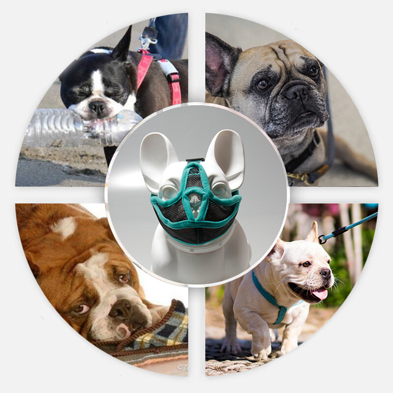 L&J Pets Uk Museruola Resistente In Filo Metallico Per Amstaff