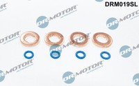 Dr.Motor Automotive DRM019SL Hitzeschild, Einspritzsystem FüR Ford