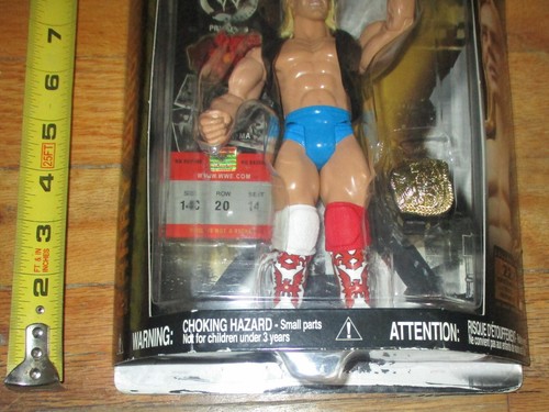 Figura de lucha clásica Jakks Barry Windham 2006 WWF WWE serie 11 NWA WCW - Imagen 4 de 4