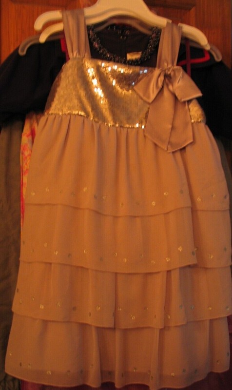 American Girl Sz 12 Silver Shimmering Sparkle Dress Nice L00k