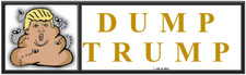 anti Trump: DUMP TRUMP political bumper sticker
