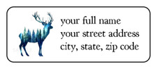 30 Elk Mountains personalized return address labels stickers tags
