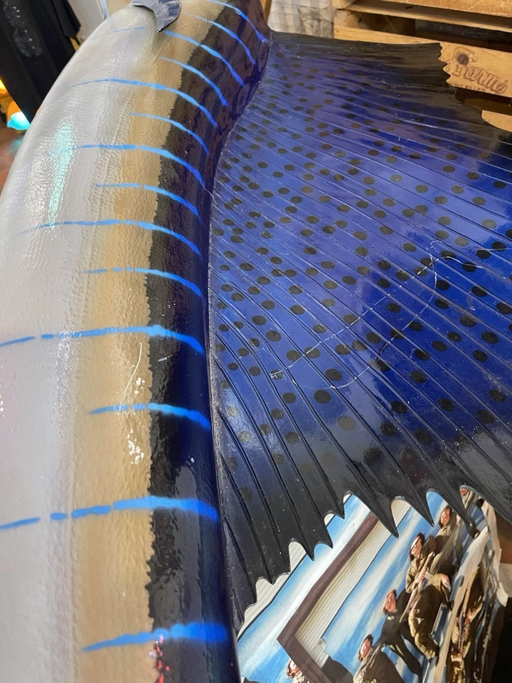 Sailfish - Taxidermy Wall Mount  7.5 feet. Stunning! - Image 3 of 4