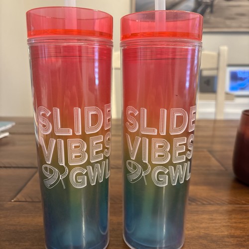 Great Wolf Lodge Souvenir Straw Cups Set of 2 The Great Wolf Pack Rainbow