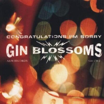 Congratulations I'm Sorry Gin Blossoms CD 1997 Free UK P&P Value Guaranteed