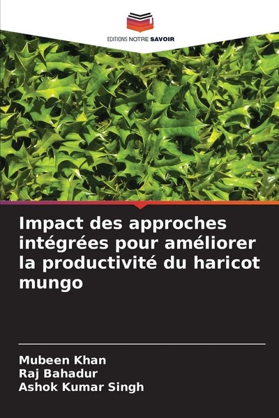 Impact Des Approches IntéGréEs Pour AméLiorer La Productivité Du Haricot Mungo-image