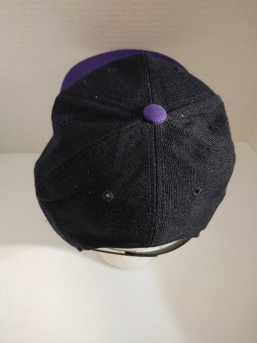 MLB Tampa Bay Devil Rays Vintage Snapback Hat Cap Baseball Black Purple H2 - Picture 4 of 10