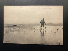 CPA; La Chasse en Baie de Somme; Chasseur relevant gibier tué du hutteau cercaux