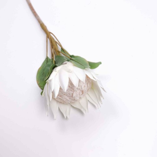 Big Size King Protea Bloom in White 73cmH Australian Native Artificial Flowers - Picture 5 of 9