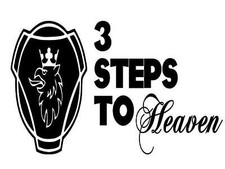 SCANIA 3 STEPS TO HEAVEN x2 VABIS V8 NEXTGEN ...