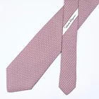Salvatore Ferragamo Tie Silk Necktie Anchor on Pink
