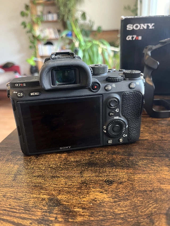 Sony Alpha 7R III, photo 4 sur 5