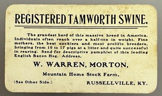 W. Warren Morton Farm Tamworth Swine Russellville Kentucky Business Card