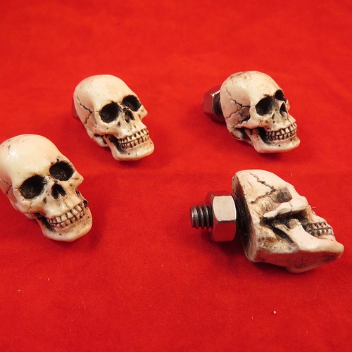 American Made 4 License Plate Bolts Skull Hot Street Rat Rod Skeleton Punk 9PB4 - Picture 4 of 4