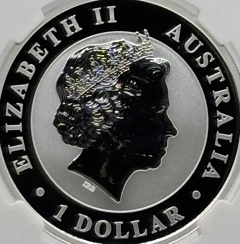 2016 P Australia 1 oz Silver Dollar Koala MS70 NGC Early Releases #870 - Picture 13 of 14
