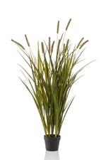 artplants Deko Schilfgras ZWENA mit Rispen, grün-gelb, 120cm