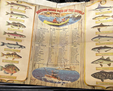 Vintage Buick Promotional Fishing Poster Circa - 50s