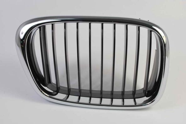 Right Front BLIC 6502-07-00659912P Radiator Grille for BMW