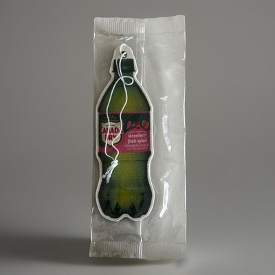 RARE CANADA DRY GINGER ALE STRAWBERRY FRUIT SPLASH AIR FRESHENER AD PROMO BOTTLE