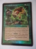 MTG Foil Parallel Evolution Torment NM/M Actual picture of card Free shipping