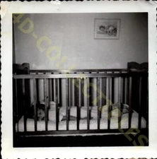 Vintage Snapshot Candid Photograph  Baby and Puppy Naptime in the Crib