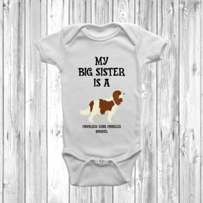 i love my big sister babygrow
