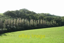 Photo 6x4 Cheriton Fitzpaine: by Trew Woods Stockleigh Pomeroy Looking so c2006