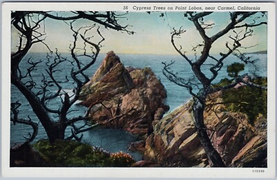 Cypress Trees on Point Lobos, near Carmel, California, Linen Postcard