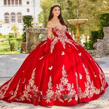 Attractive Lace Applique Quinceanera Dress Ball Gown for Birthday Party Sweet 16
