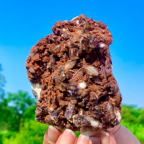 243G Natural Chocolate Red Crystal Gem Quartz Points Cluster Mineral Specimens