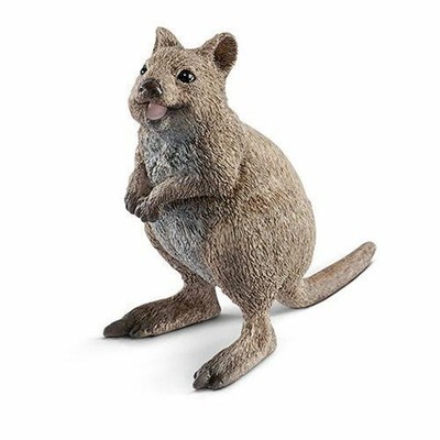 Quokka Schleich Wild Life Realistic Collectible Figure