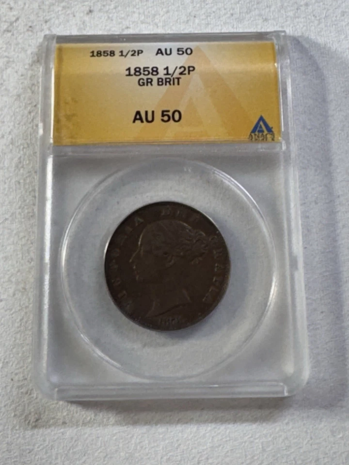 1858 Great Britain Half Penny Graded AU 50 by ANACS - Image 4 of 4