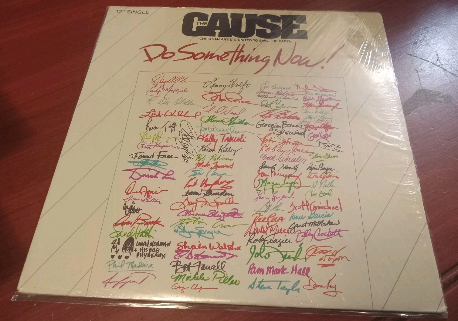 The Cause Do Something Now 12