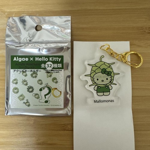 Osaka Expo Hello Kitty Algae Hellokitty Acrylic Keychain | eBay