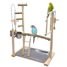 Bird Playground Parrot Playstand Bird Perch Stand Gym Natural Wood Play Stand...