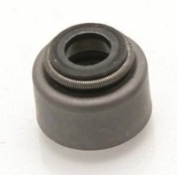 Ventilschaftdichtung - Set Mit 10 Stk. FüR Aprilia Pegaso 650 IE 1999-05