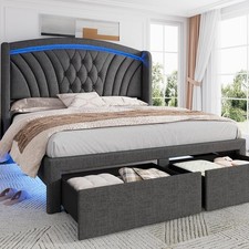 Queen Size Bed Frame with 2 Storage Drawers Wingback Upholstered Headboard LED