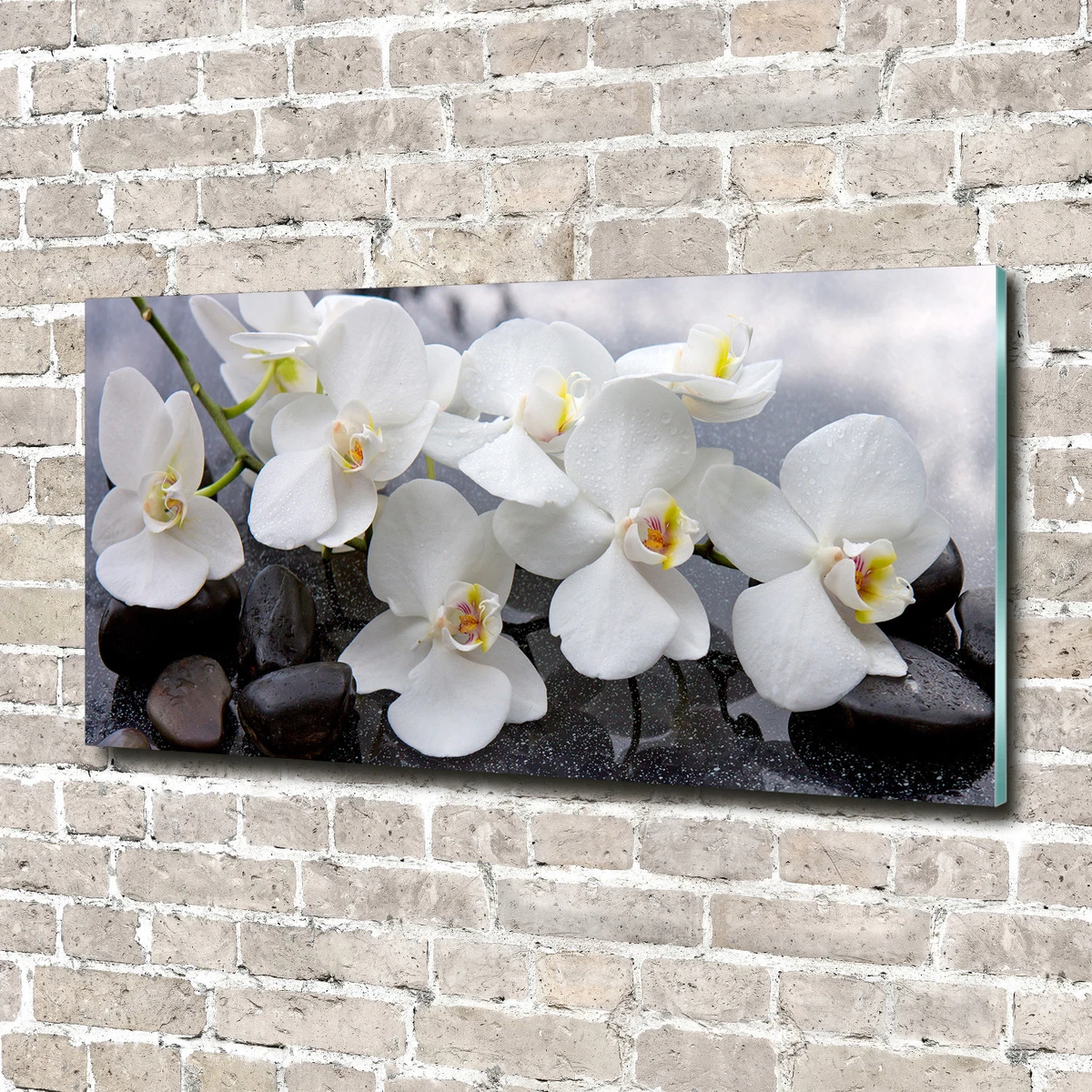 künstliche orchideen xxl im topf Künstliche Orchidee - Leo | 100 cm main image 0
