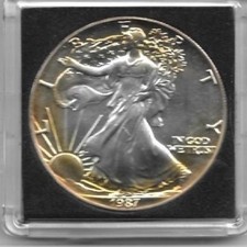 Outstanding 1987 American TONED Silver Eagle Dollar 1 oz fine silver  :