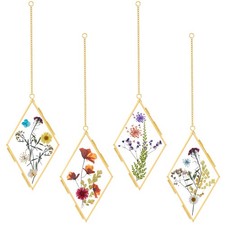 4 Pcs Double Glass Frame for Pressed Flowers Rhombus Wall Hanging Floating Pi...