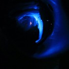 Bild 8 von 13