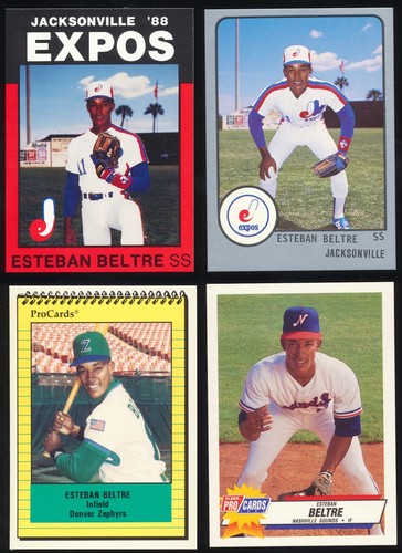 Minor League Card Lots - Player Name Starts with B - Picture 152 of 188